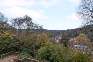 Photo 43- click for photo gallery